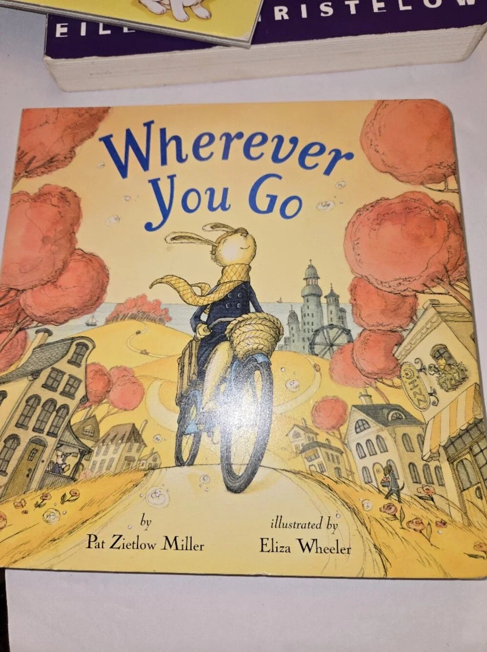 Book and DVD Bundle - Sesame Street - Wherever You Go - Five Little Monkeys
